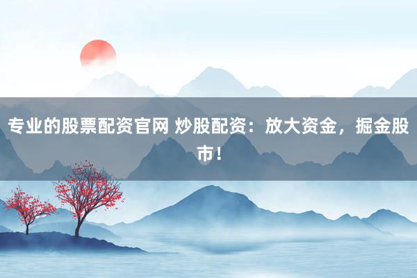 专业的股票配资官网 炒股配资：放大资金，掘金股市！