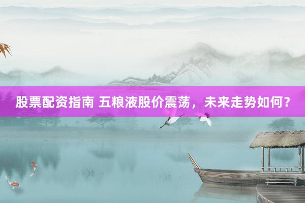 股票配资指南 五粮液股价震荡，未来走势如何？