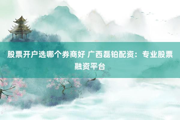 股票开户选哪个券商好 广西磊铂配资：专业股票融资平台