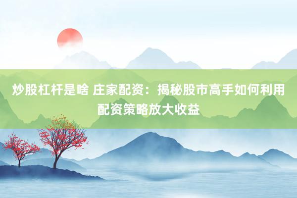 炒股杠杆是啥 庄家配资：揭秘股市高手如何利用配资策略放大收益