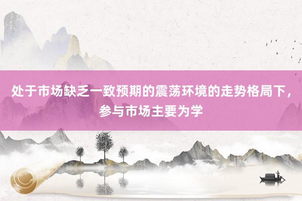 处于市场缺乏一致预期的震荡环境的走势格局下，参与市场主要为学