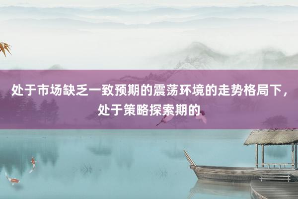 处于市场缺乏一致预期的震荡环境的走势格局下，处于策略探索期的