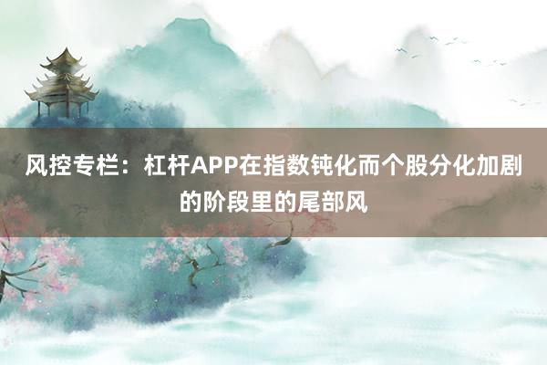 风控专栏：杠杆APP在指数钝化而个股分化加剧的阶段里的尾部风