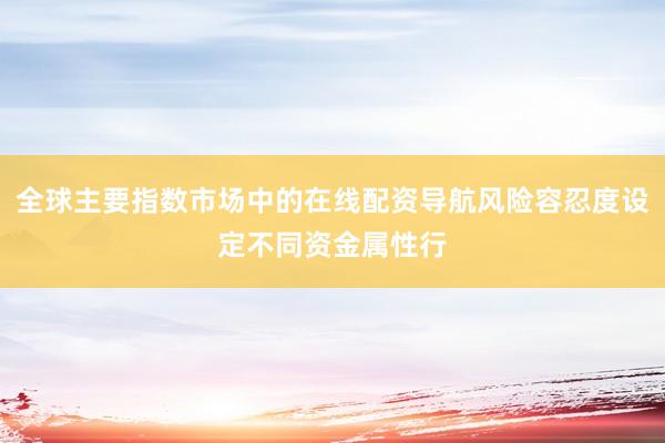 全球主要指数市场中的在线配资导航风险容忍度设定不同资金属性行