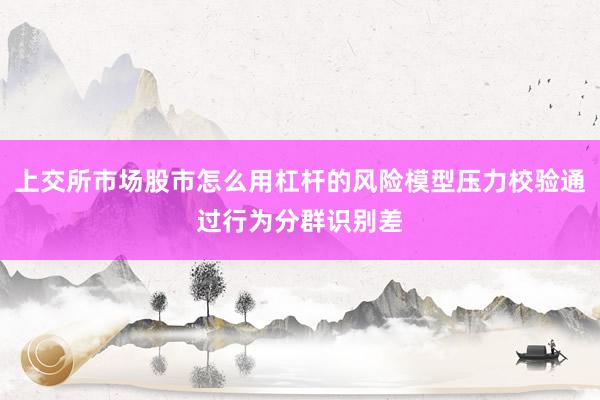 上交所市场股市怎么用杠杆的风险模型压力校验通过行为分群识别差