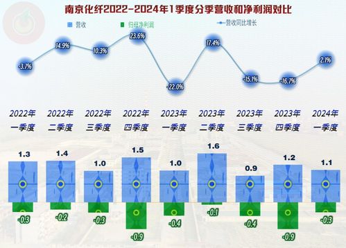 南京化纤业绩和资产等状况如何 看看就清楚了,几乎无需多言